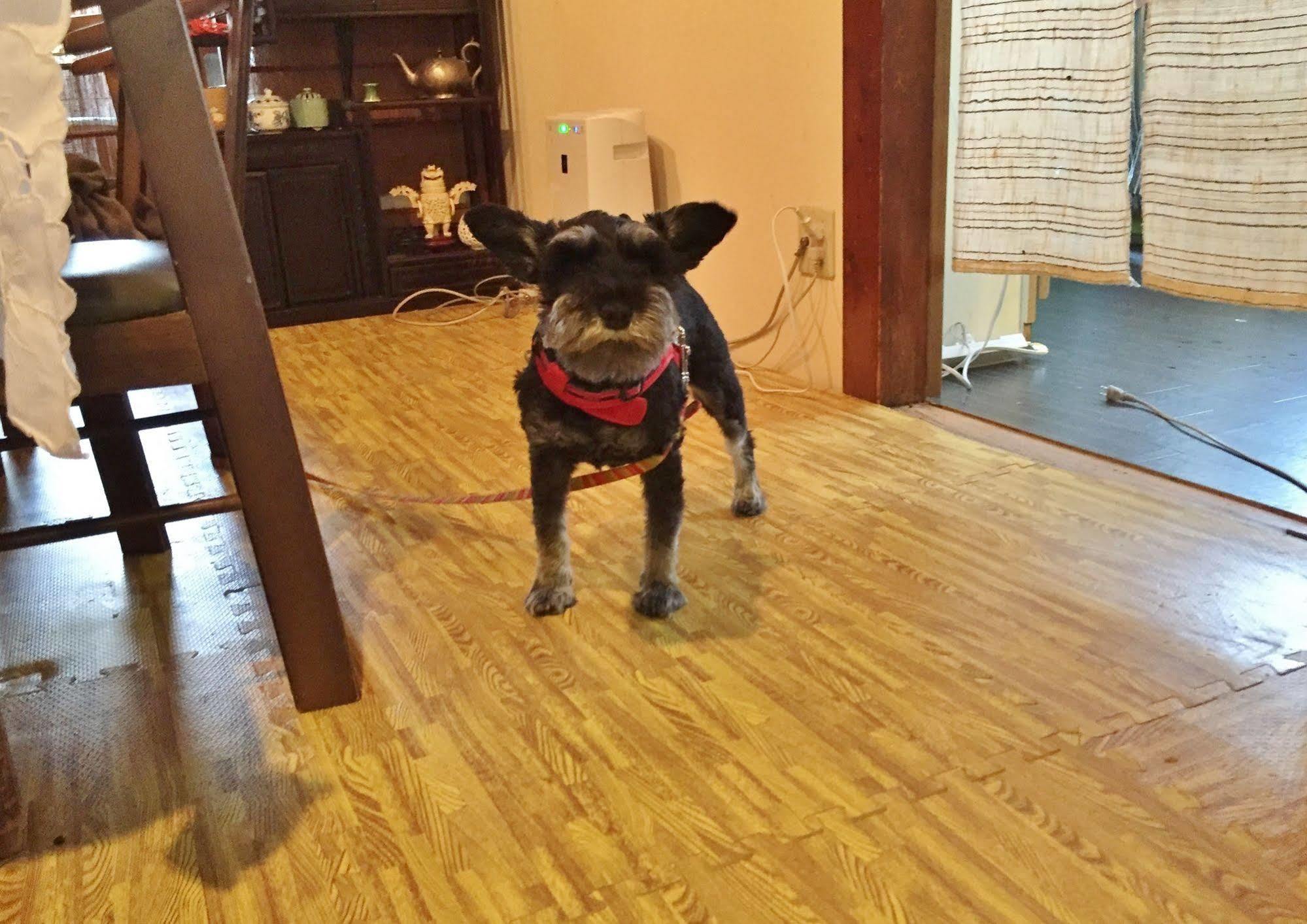 Hotobil B&B 潤 An Inn That Enjoys Breakfast Nara Luaran gambar